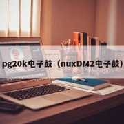 pg20k电子鼓（nuxDM2电子鼓）