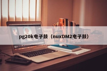 pg20k电子鼓（nuxDM2电子鼓）